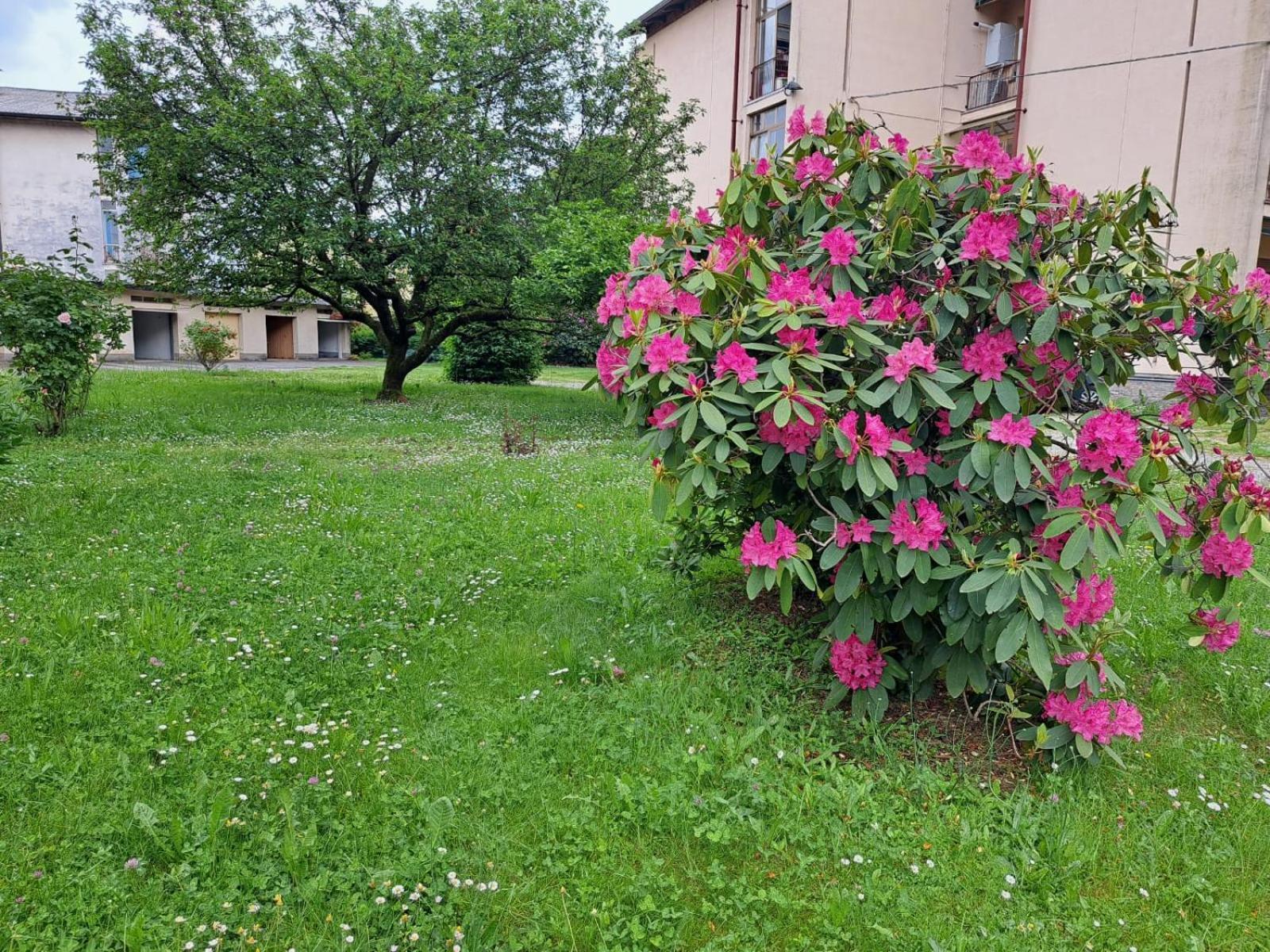 Seraval Valsesia Apartment Serravalle Sesia Eksteriør bilde